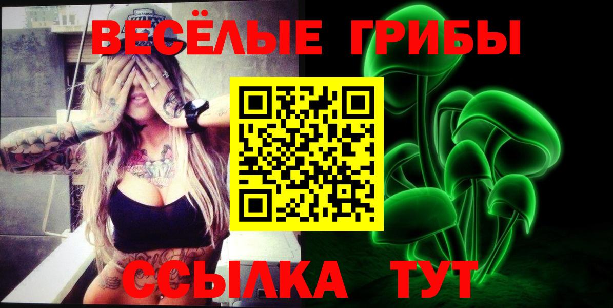 Галлюциногенные грибы MAGIC MUSHROOMS  Галлюциногенные грибы Psilocybine cubensis  продажа наркотиков  Строитель  Вход с VPN 